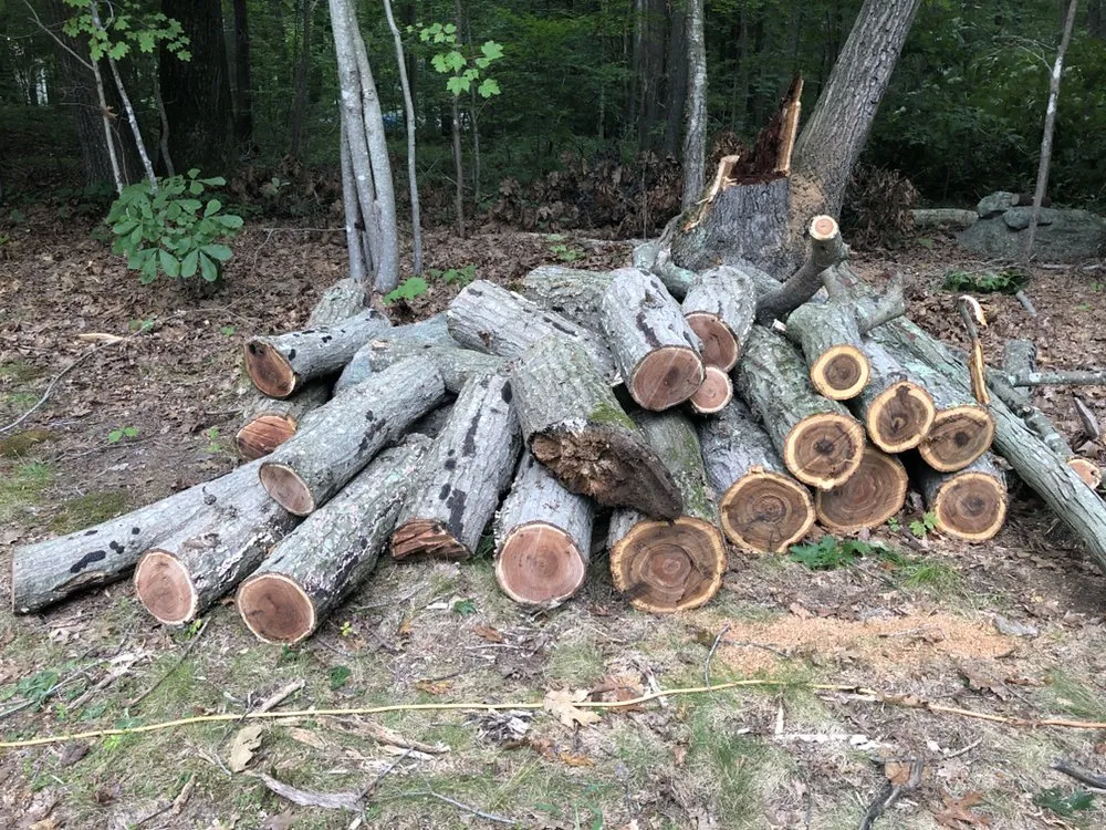 Trusted outdoor landscaping in Madison, CT - Lawn Monkey Landscaping