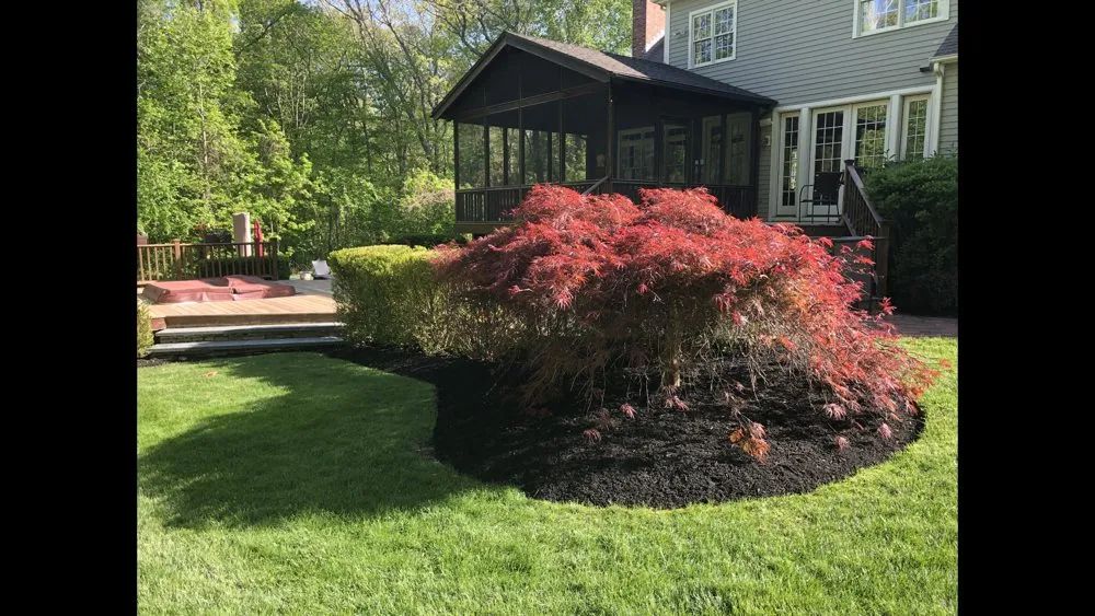 Professional outdoor landscaping in Madison, CT by Lawn Monkey Landscaping