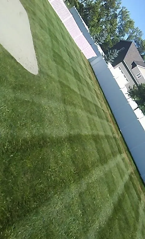 Affordable yard maintenance experts serving Mahnomen, MN - Lawn Monkeys