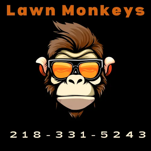 Local landscape design for year-round maintenance across Mahnomen, MN - Lawn Monkeys
