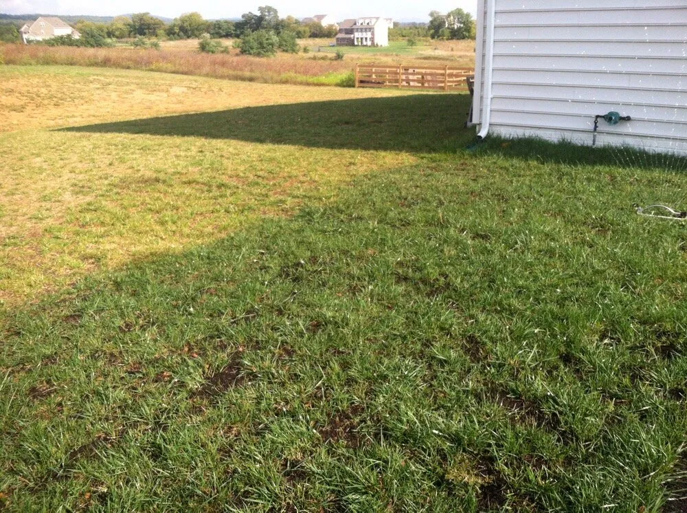 Local yard maintenance for year-round maintenance across Leesburg, VA - Lawn Monster