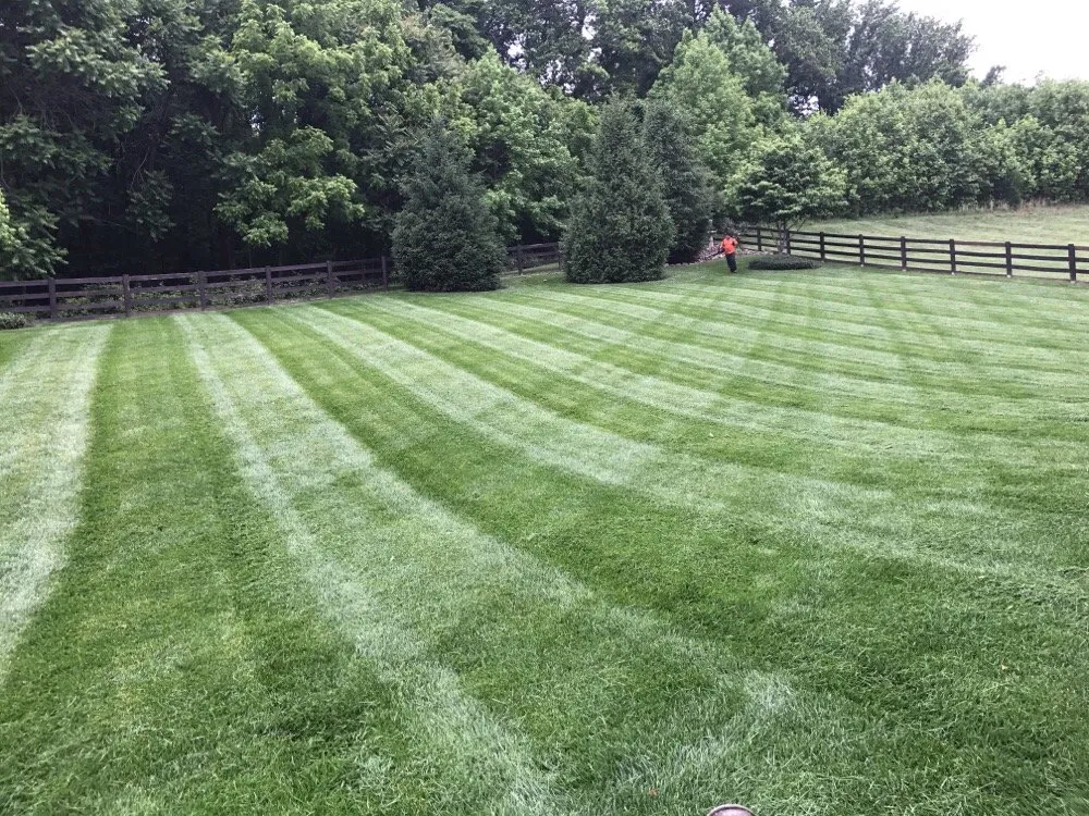 Affordable landscape design in Leesburg, VA by Lawn Monster