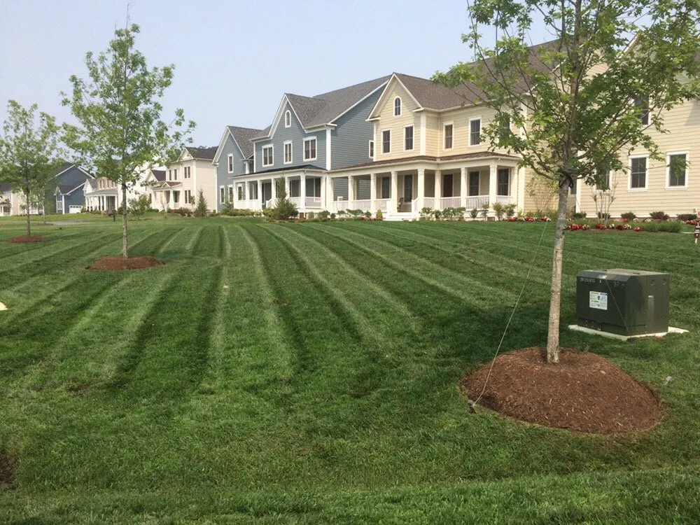 Trusted yard cleanup service for homes in Leesburg, VA by Lawn Monster