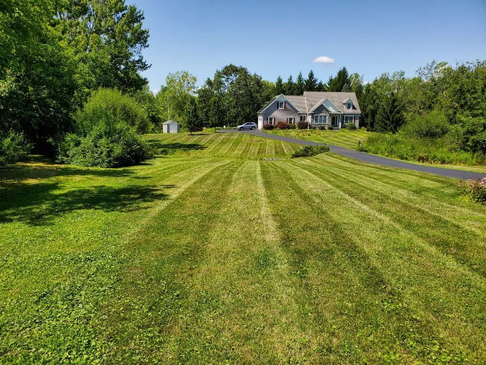 Affordable landscape installation in Clifton Park, NY - Lawn Monsterz