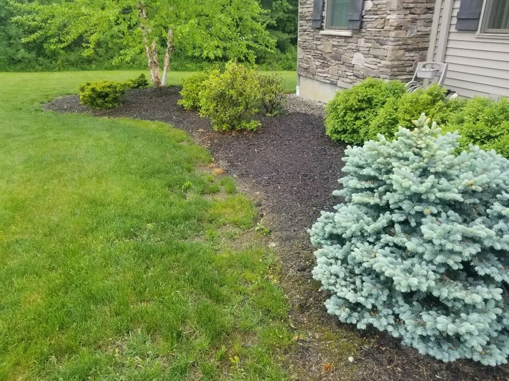 Local yard cleanup service in Clifton Park, NY - Lawn Monsterz