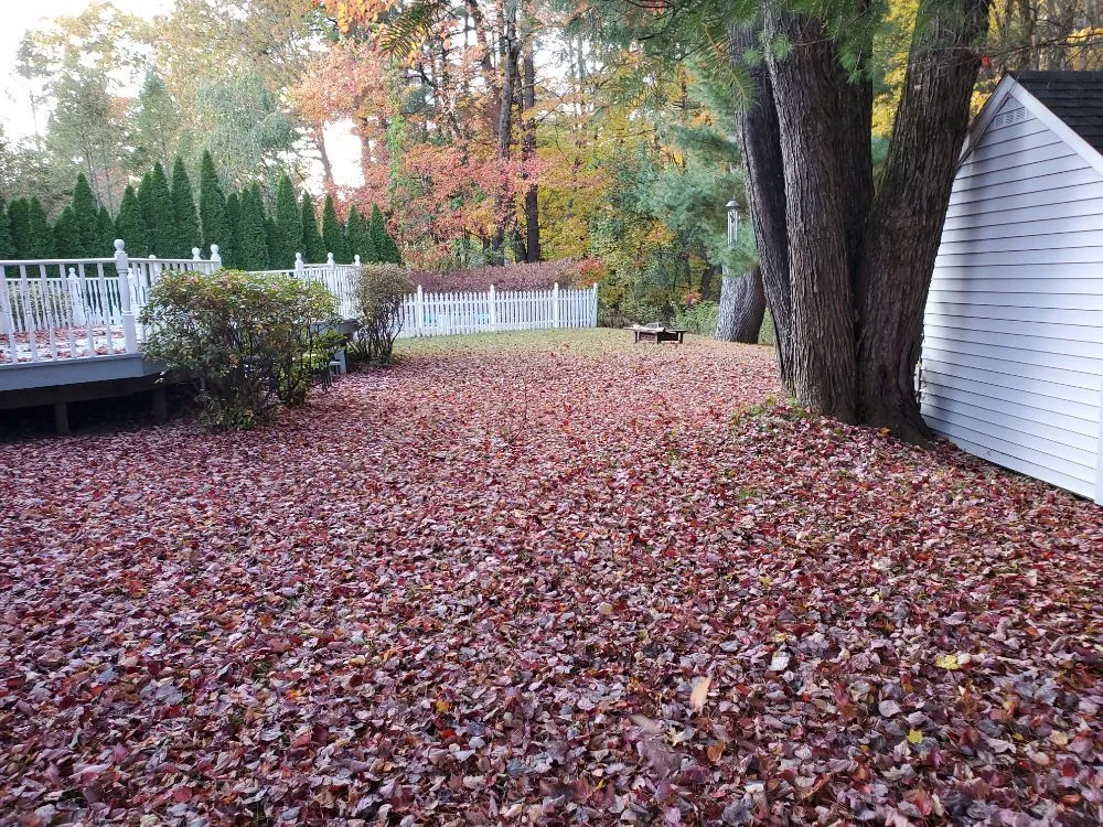 Affordable garden landscaping for beautiful yards in Clifton Park, NY by Lawn Monsterz