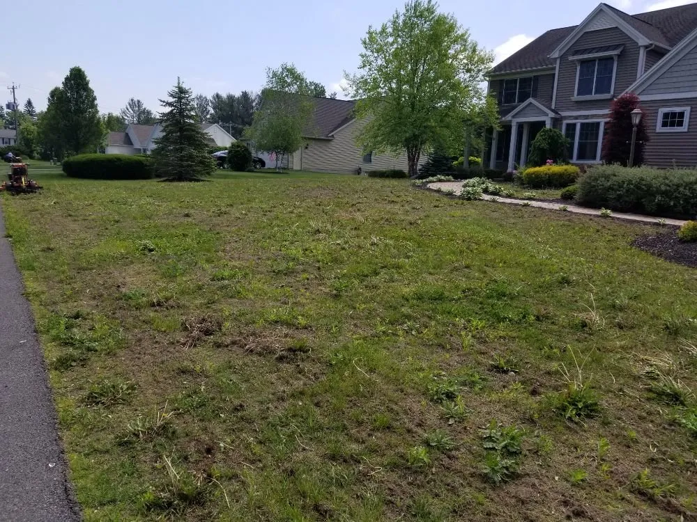 Reliable lawn care service in Clifton Park, NY by Lawn Monsterz