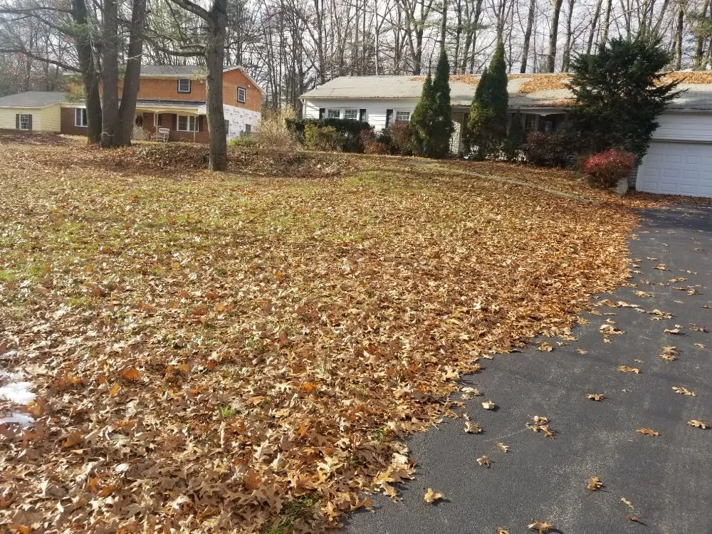 Top-rated yard cleanup service experts serving Clifton Park, NY - Lawn Monsterz