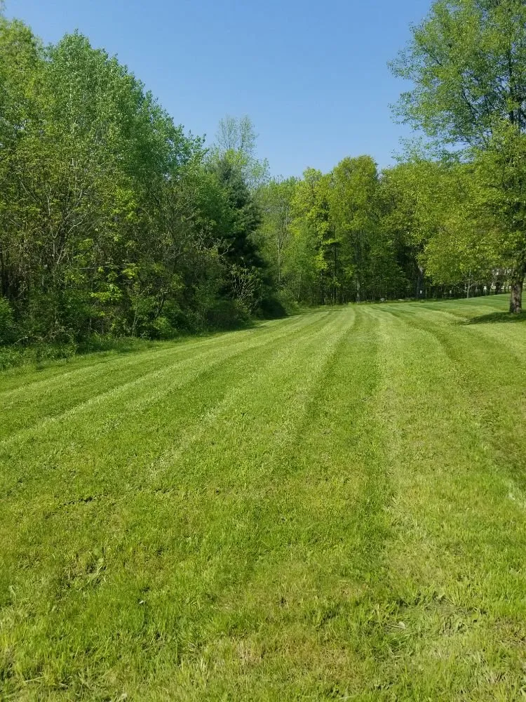 Top-rated residential landscaping with custom design in Clifton Park, NY by Lawn Monsterz