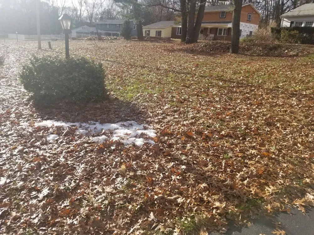 Custom lawn care service experts serving Clifton Park, NY - Lawn Monsterz