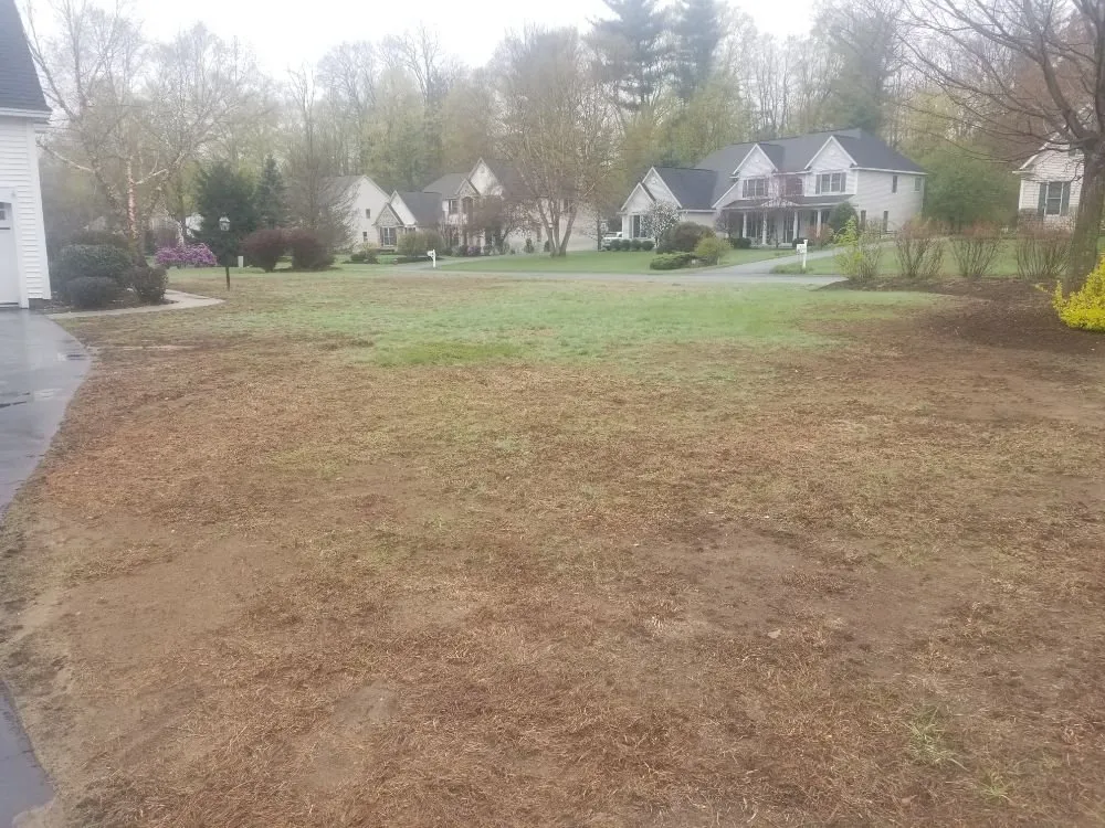 Professional yard maintenance in Clifton Park, NY by Lawn Monsterz