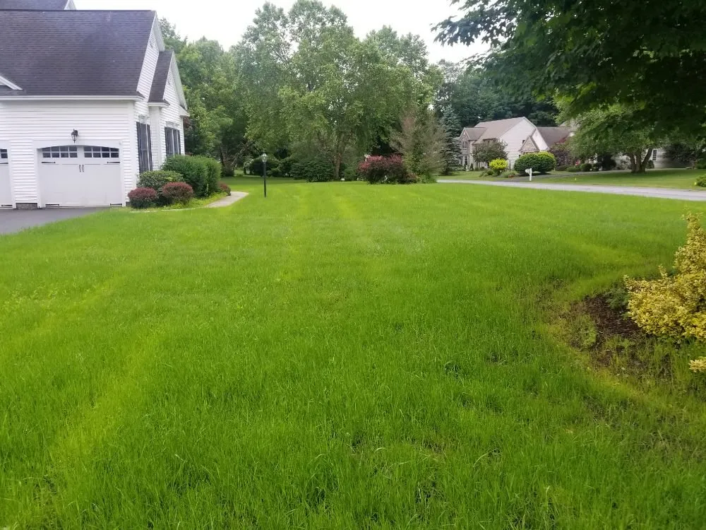 Trusted landscape design with custom design across Clifton Park, NY - Lawn Monsterz