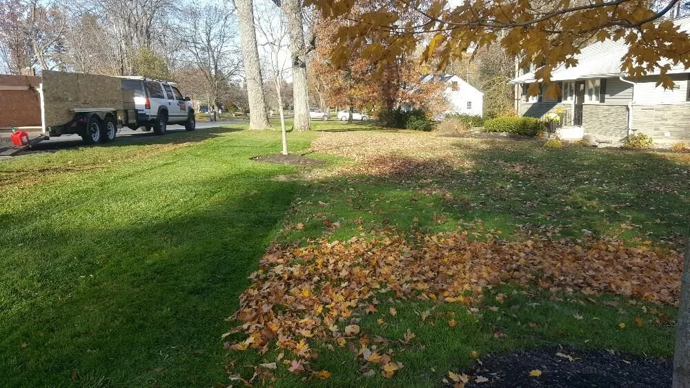 Local yard cleanup service in Clifton Park, NY by Lawn Monsterz