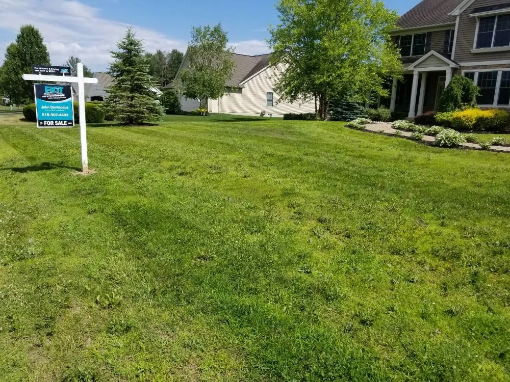 Top-rated yard cleanup service for outdoor upgrades in Clifton Park, NY by Lawn Monsterz