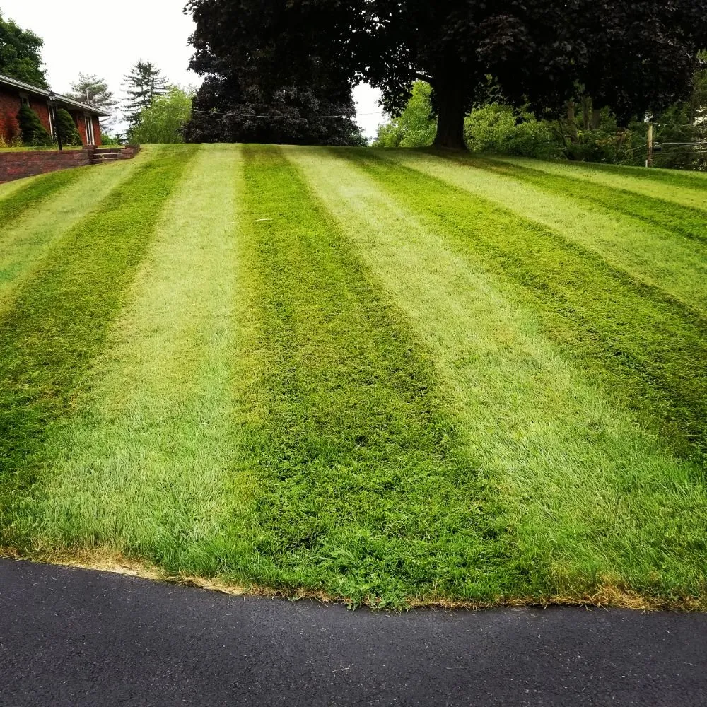 Reliable landscaping services for residential properties in Clifton Park, NY by Lawn Monsterz