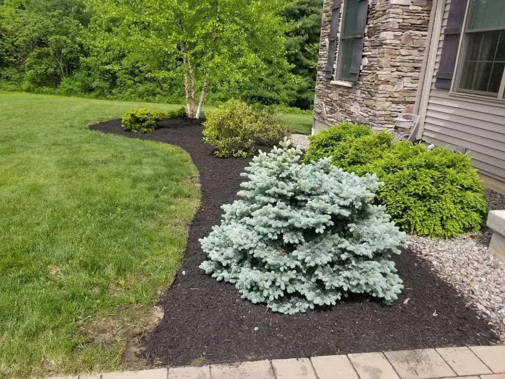 Local landscaping services experts serving Clifton Park, NY - Lawn Monsterz