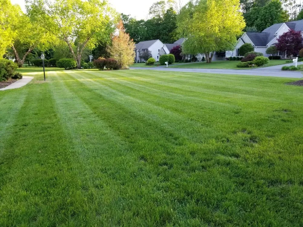 Trusted landscape design experts serving Clifton Park, NY - Lawn Monsterz