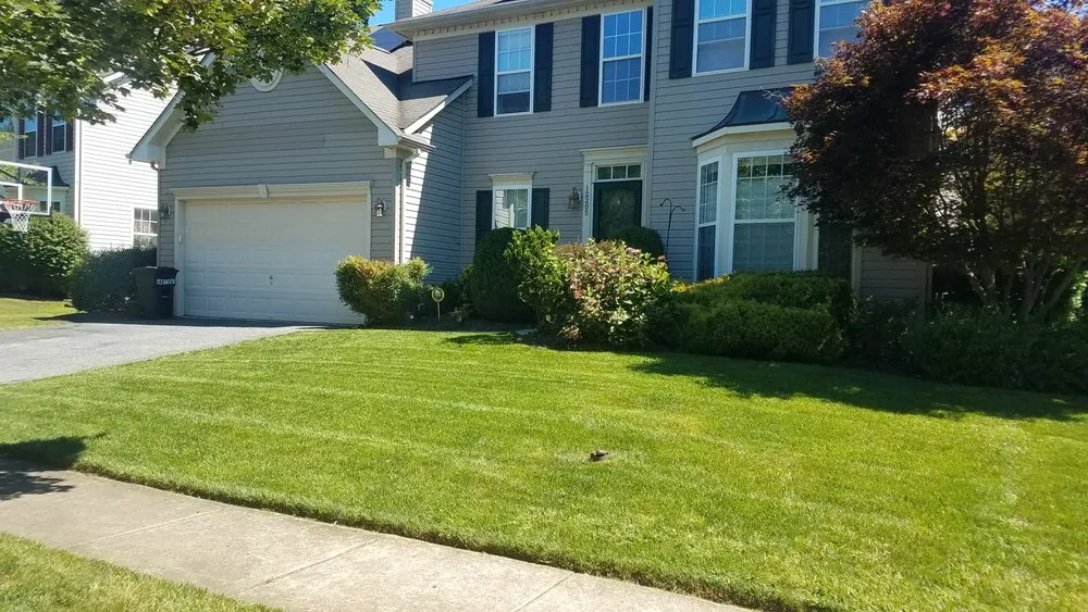 Reliable outdoor landscaping for beautiful yards across Baltimore, MD - Lawn MOW Tivation & Landscaping Services