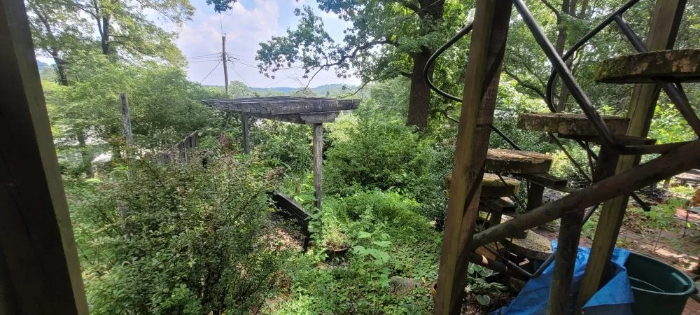 Professional landscaping services near you across Chattanooga, TN - Lawn Mowed