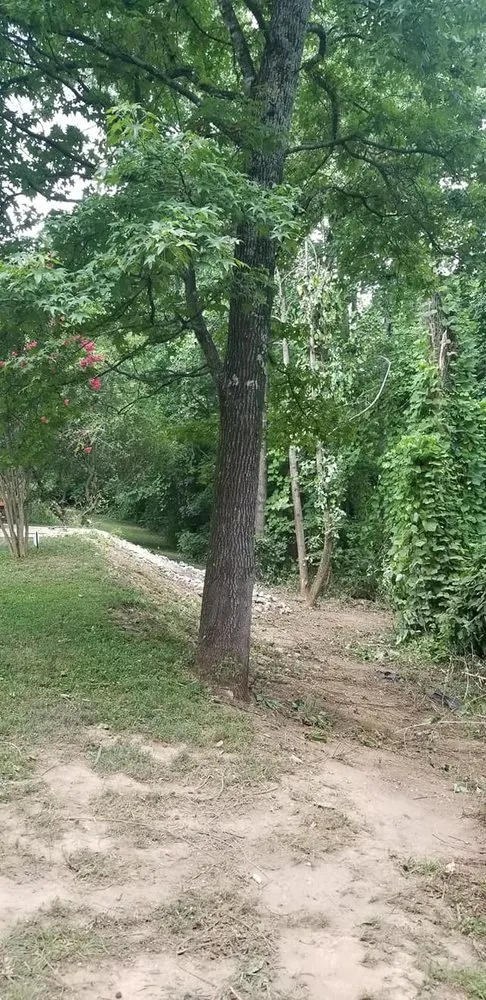 Custom lawn mowing service experts serving Chattanooga, TN - Lawn Mowed