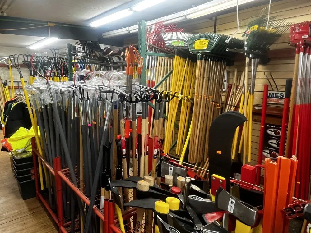 Local yard cleanup service in Pasadena, CA - Lawn Mower Corner