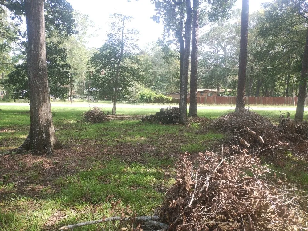 Custom lawn mowing service near you across New Caney, TX - Lawn Mower Dude
