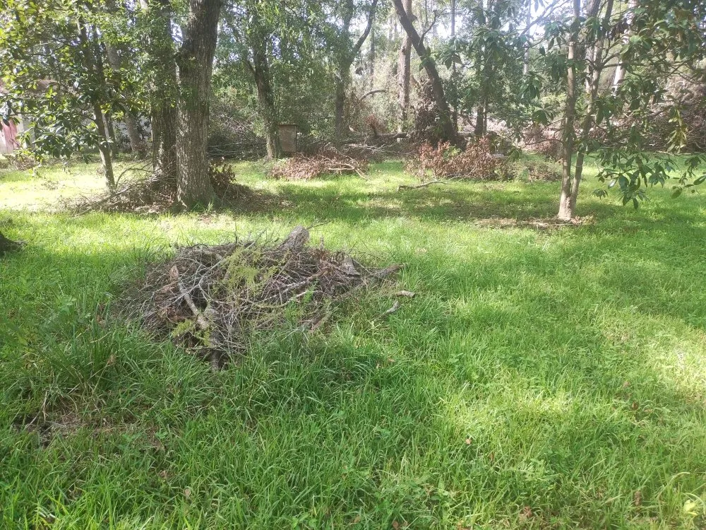 Custom lawn mowing service in New Caney, TX by Lawn Mower Dude