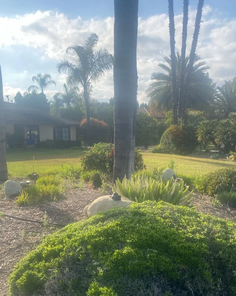 Reliable yard cleanup service experts serving Hemet, CA - Lawn Mowers Masters