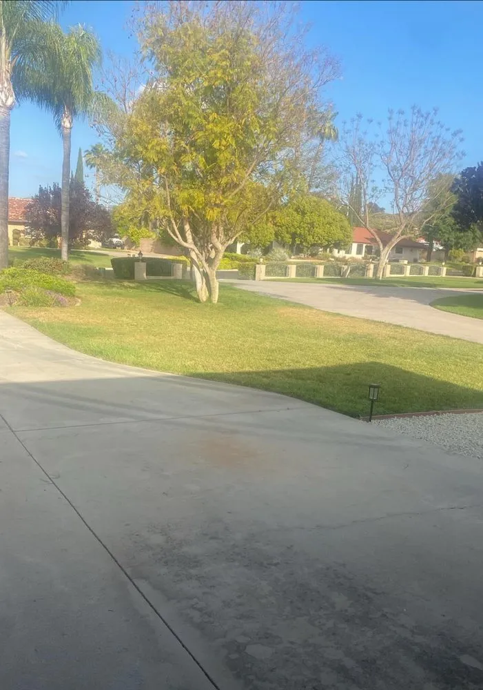 Top-rated outdoor landscaping in Hemet, CA - Lawn Mowers Masters