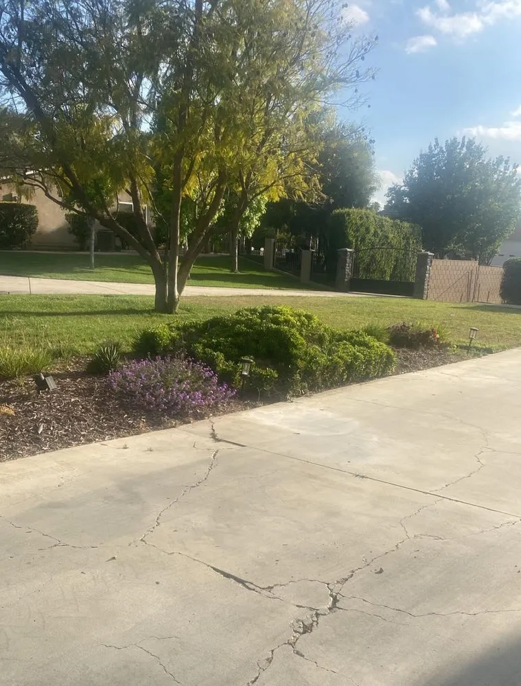 Trusted yard cleanup service for outdoor upgrades across Hemet, CA - Lawn Mowers Masters