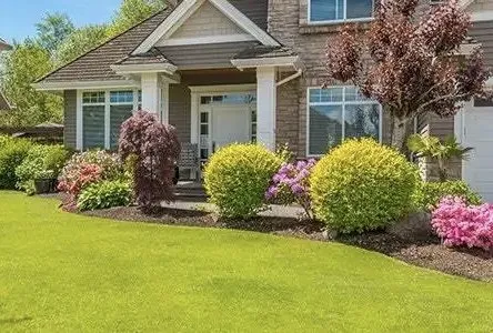 Lawn Mowing & Weedeating