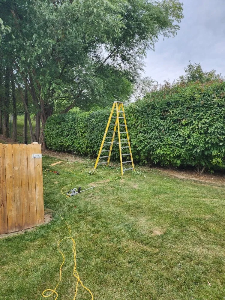 Trusted garden landscaping experts serving Sparta, WI - Lawn Mowing by Scott