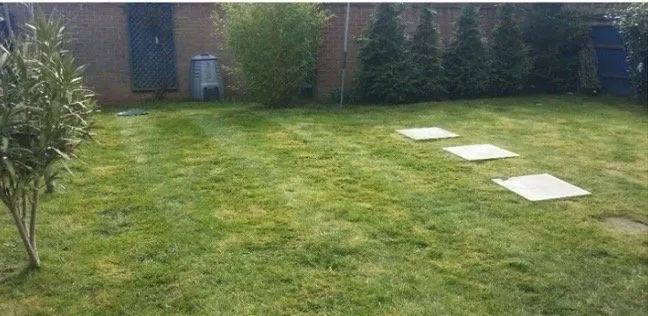 Professional lawn care service near you across Fillmore, CA - Lawn mowing