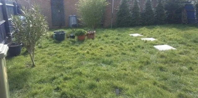 Expert garden landscaping for beautiful yards across Fillmore, CA - Lawn mowing