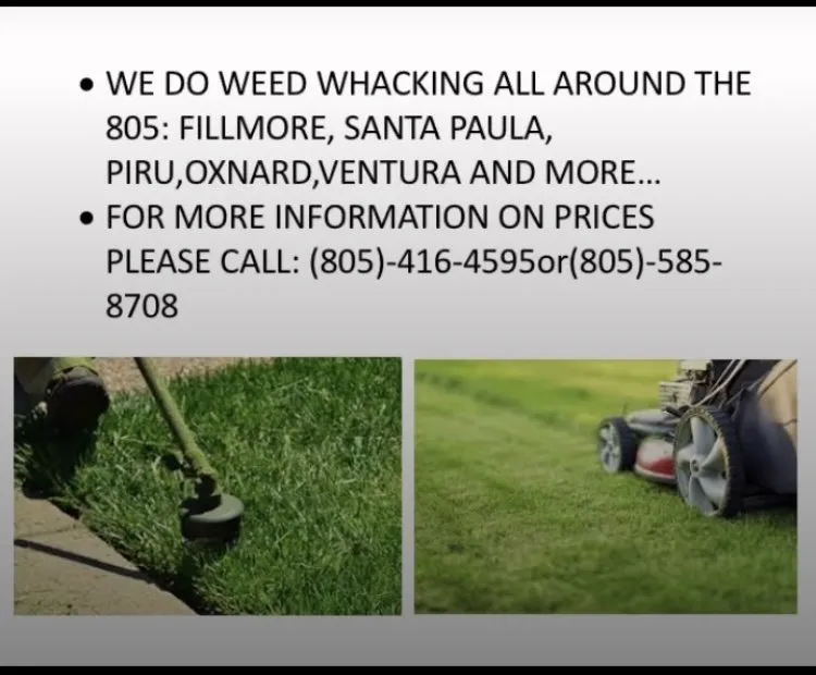 Top-rated landscaping services for beautiful yards in Fillmore, CA by Lawn mowing
