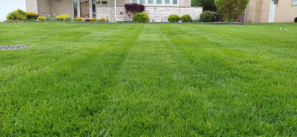 Professional landscaping services experts serving Chicago, IL - Lawn Mowing Services
