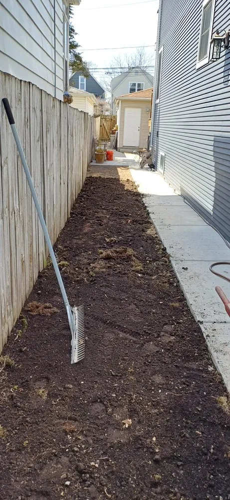 Top-rated yard cleanup service for homes in Chicago, IL by Lawn Mowing Services