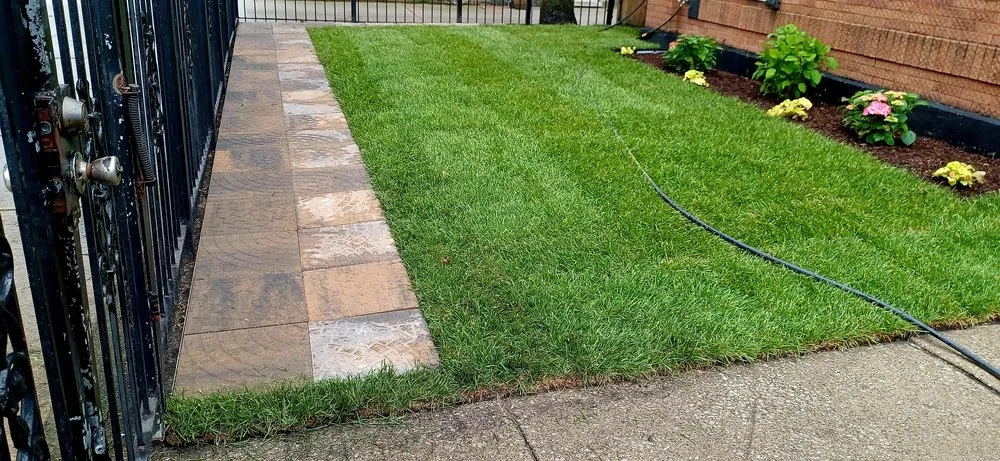 Trusted lawn mowing service in Chicago, IL - Lawn Mowing Services