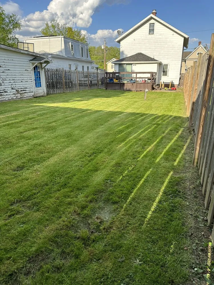 Professional lawn mowing service experts serving Allegany, NY - Lawn Mowing Weed Whacking