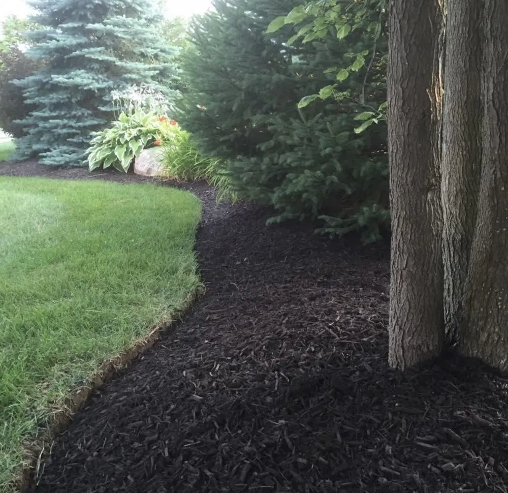 Top-rated landscape design with custom design across Cicero, IN - Lawn-N-Order