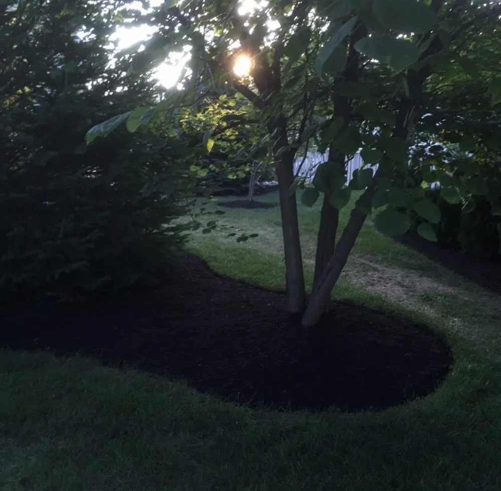 Custom lawn care service experts serving Cicero, IN - Lawn-N-Order