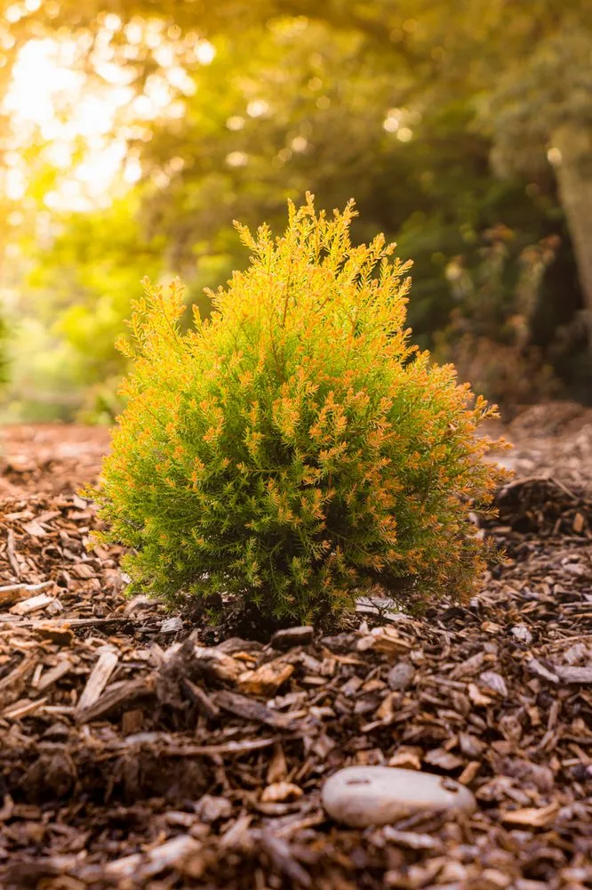 Trusted residential landscaping experts serving Weaverville, NC - Lawn-N-Order Landscaping