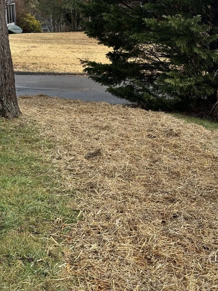 Affordable garden landscaping in Weaverville, NC - Lawn-N-Order Landscaping