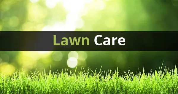 Lawn-N-Order Lawn Care & Property Management Logo