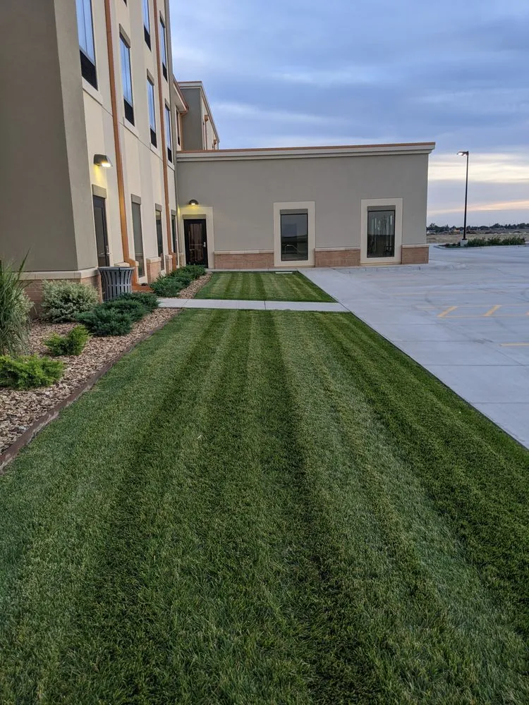 Professional yard cleanup service experts serving Liberal, KS - Lawn N Order