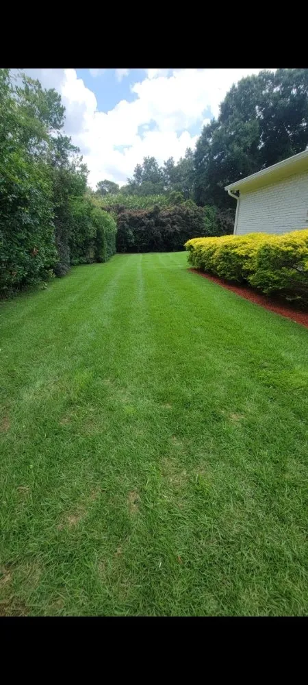 Top-rated yard cleanup service with custom design across Semmes, AL - Lawn N Order Services