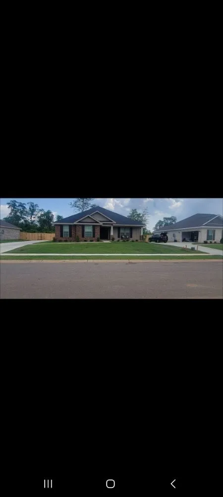 Top-rated yard cleanup service experts serving Semmes, AL - Lawn N Order Services