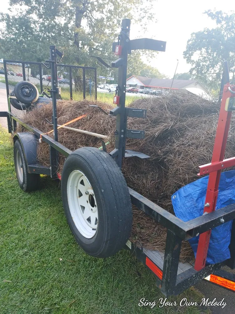 Professional landscape design near you in Pooler, GA by Lawn N Order Special Clippings Unit