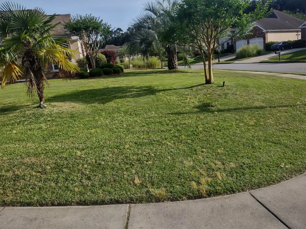 Trusted yard maintenance experts serving Pooler, GA - Lawn N Order Special Clippings Unit