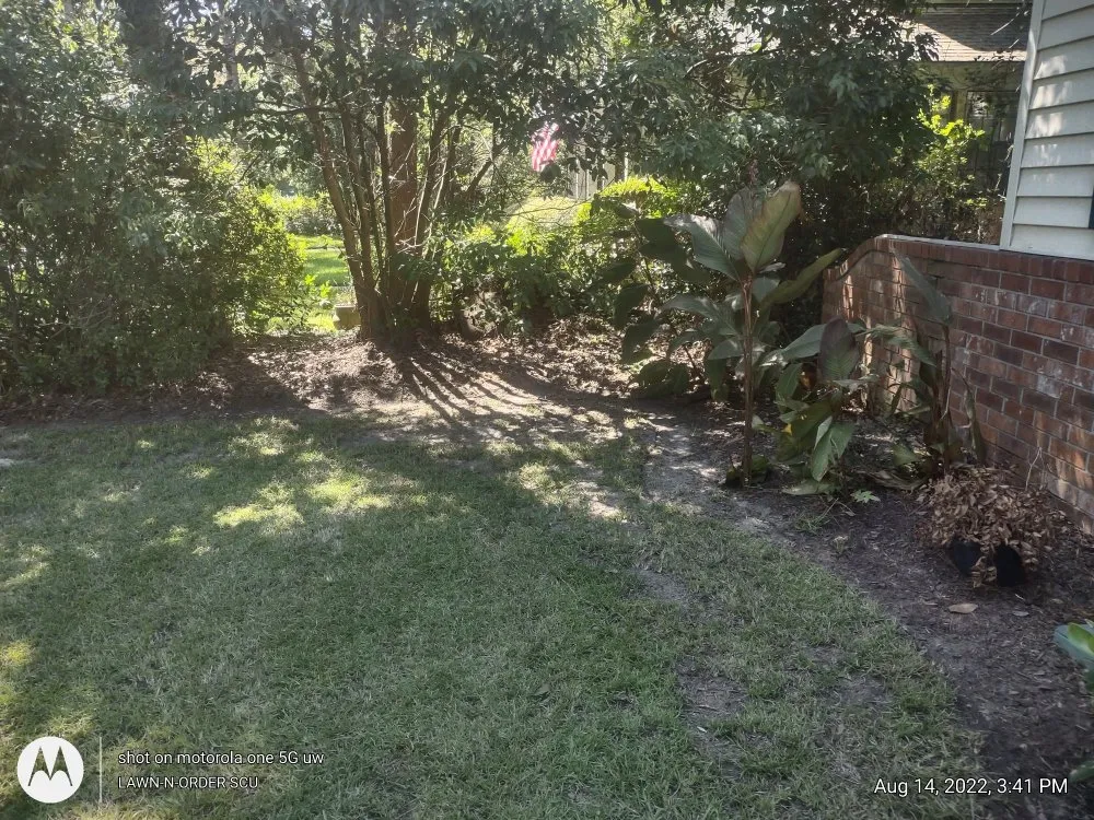 Affordable lawn care service for homes across Pooler, GA - Lawn N Order Special Clippings Unit